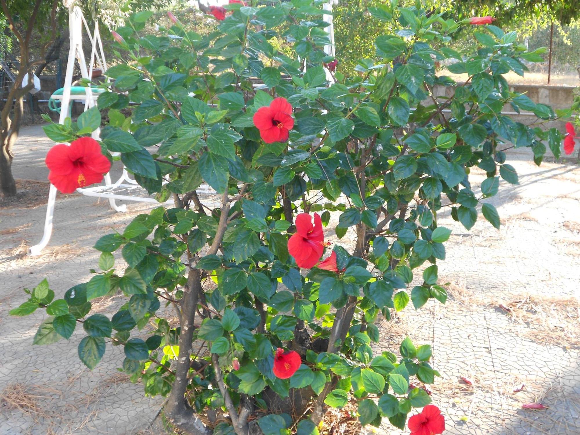 O Marinariello Holiday home *