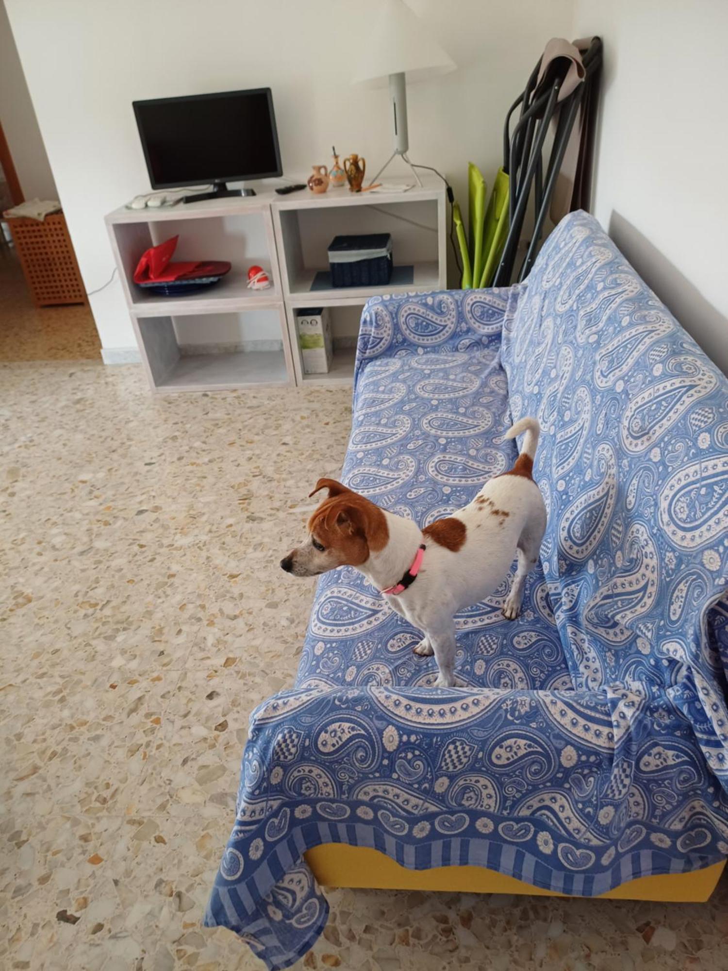 O Marinariello Holiday home