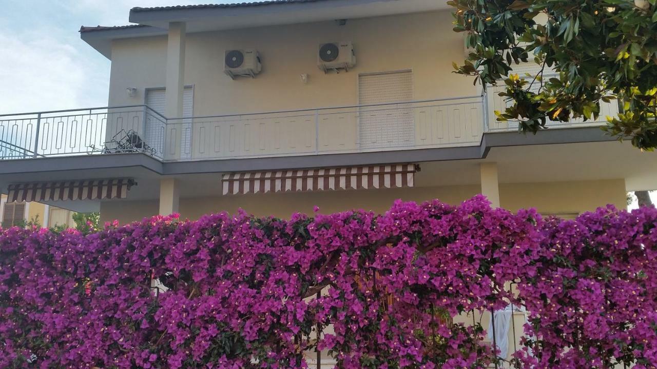 O Marinariello